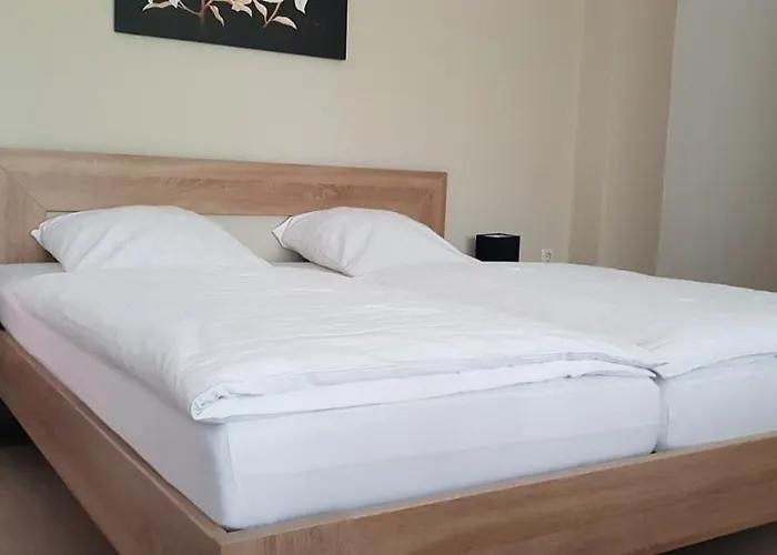 Hotel Cherusker Hof 2*